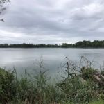 Mehrhof Pond