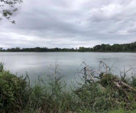 Mehrhof Pond