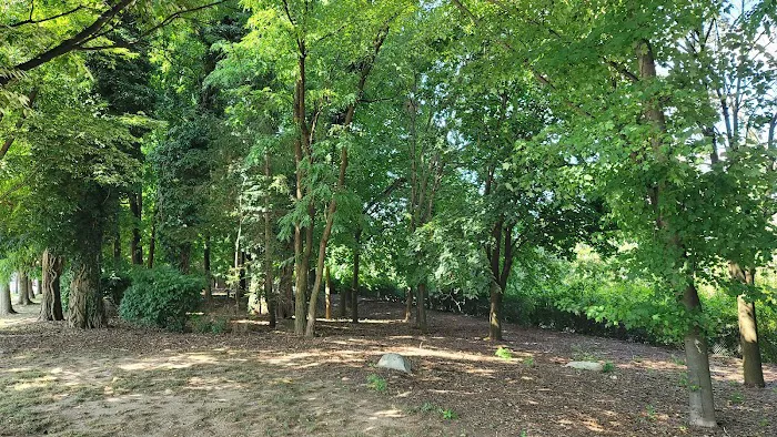 Buehler Park Picture 2
