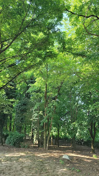Buehler Park Picture 6