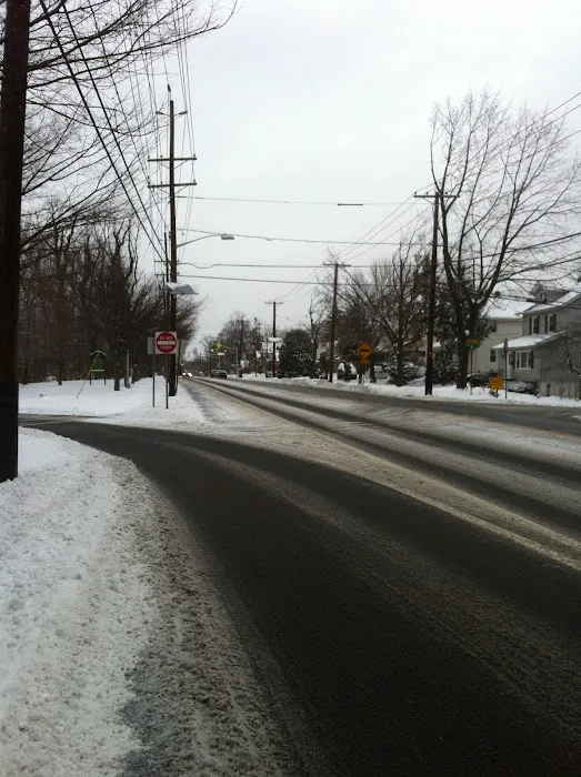 Buehler Park Picture 9