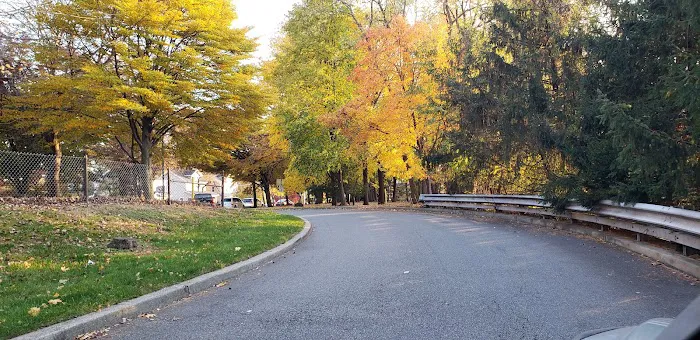 Buehler Park Picture 5