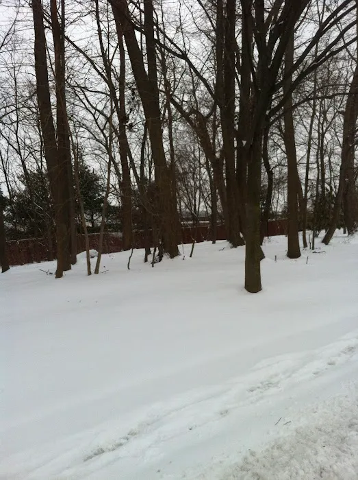 Buehler Park Picture 10