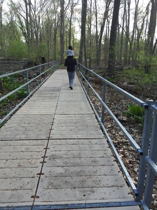 Reid Park Picture 5