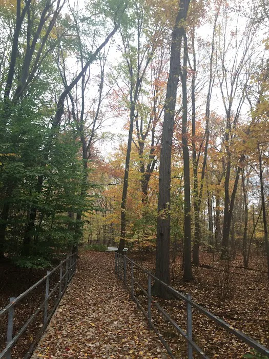 Reid Park Picture 8
