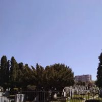 English Neighborhood Park ico
