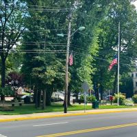 Honor Park ico