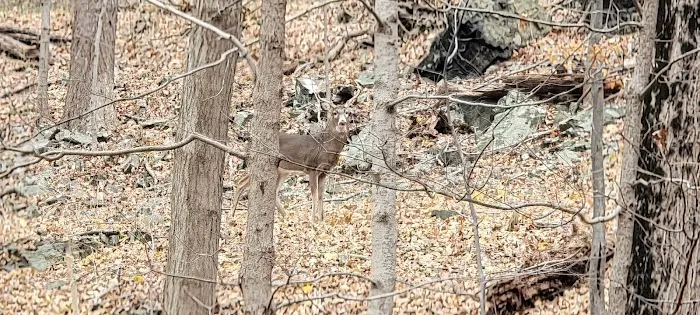 Schuyler Town Park Picture 3