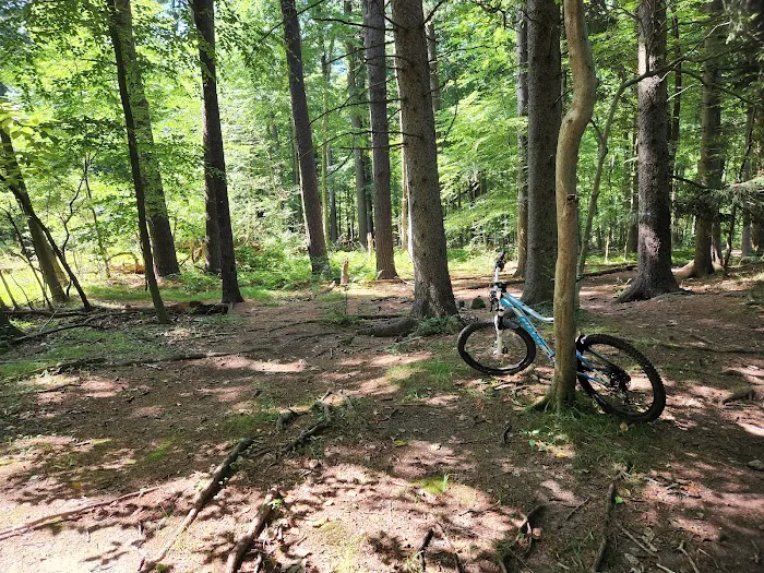 Blauvelt State Park Picture 4