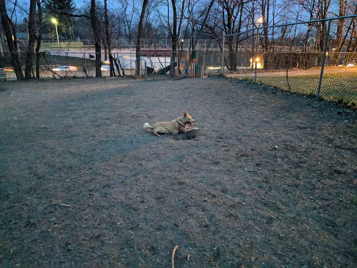 Elizabeth Place Dog Park Picture 7