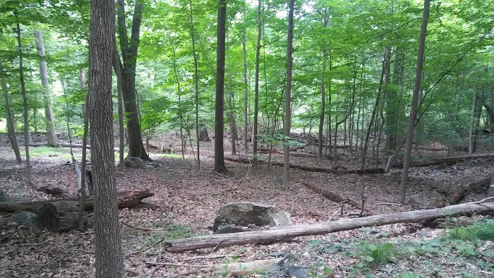 Buttermilk Falls County Park Picture 1