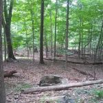 Buttermilk Falls County Park