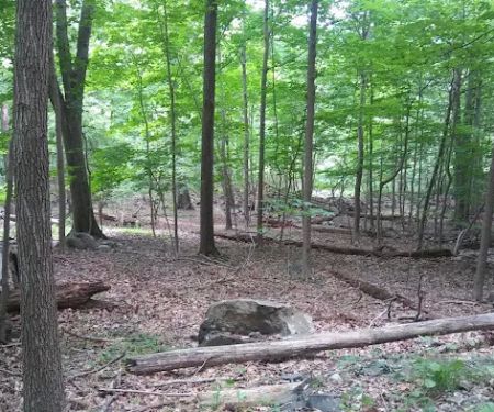Buttermilk Falls County Park