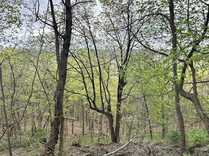 Buttermilk Falls County Park Picture 9