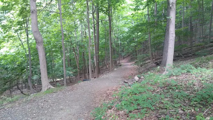 Buttermilk Falls County Park Picture 7