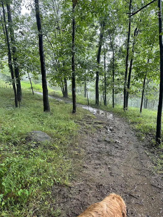 Buttermilk Falls County Park, Parking Lot Picture 6
