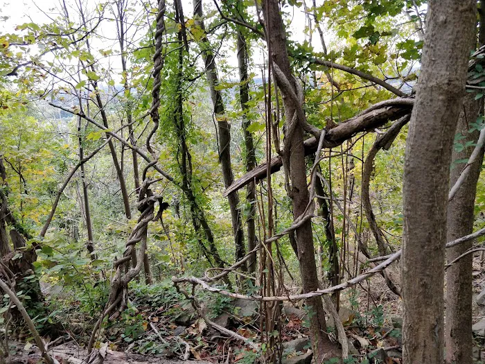 Buttermilk Falls County Park, Parking Lot Picture 10