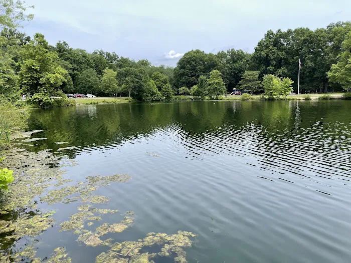Wood Dale County Park Picture 3