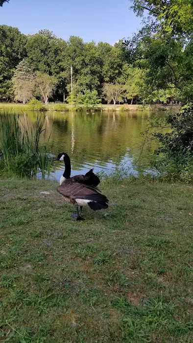 Wood Dale County Park Picture 4