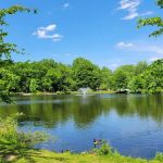 Wood Dale County Park
