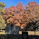 Cherry Brook Park