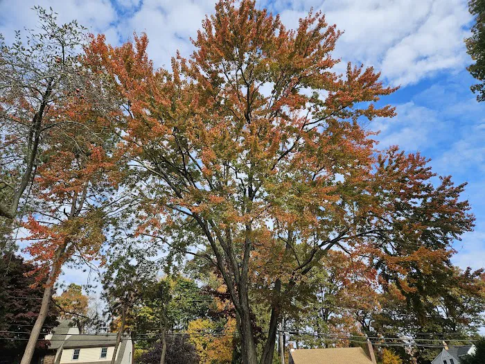 Dr. Henry V. Borst Park, Town of Orangetown Picture 4