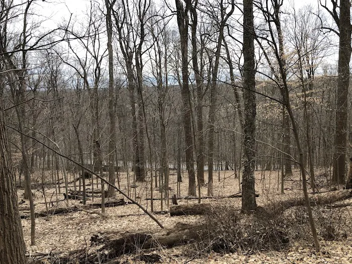 Pinecliff Audubon Sanctuary Picture 2