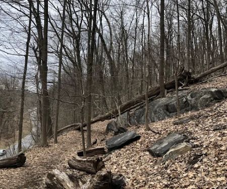 Pinecliff Audubon Sanctuary