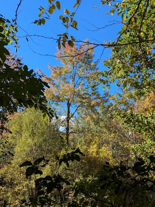 Pinecliff Audubon Sanctuary Picture 4