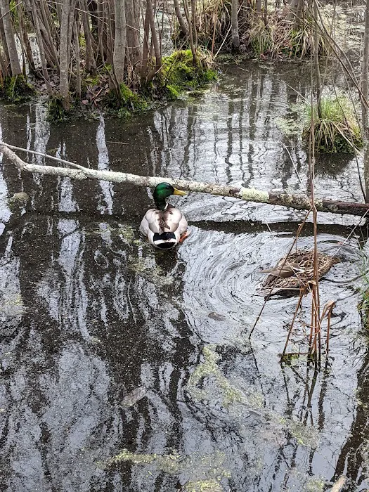 Pinecliff Audubon Sanctuary Picture 6