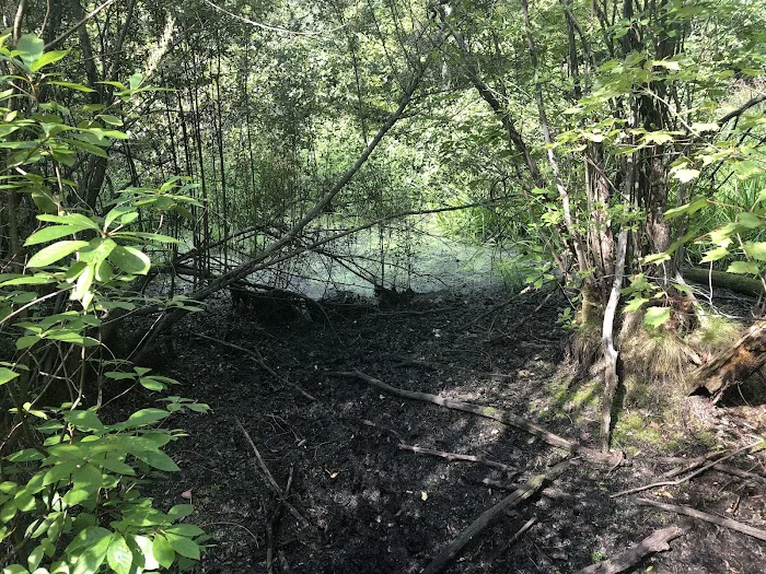Pinecliff Audubon Sanctuary Picture 8
