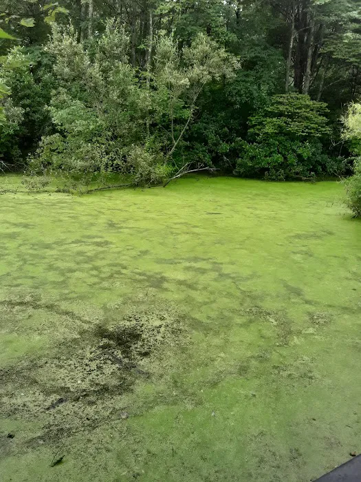 Pinecliff Audubon Sanctuary Picture 7