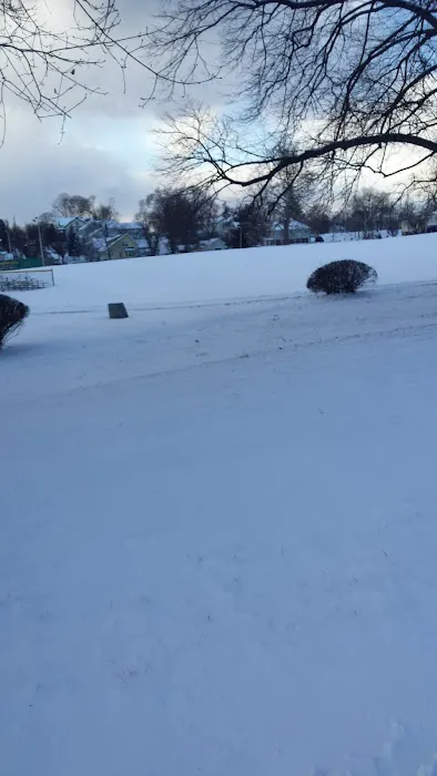 Nelson Park Picture 10
