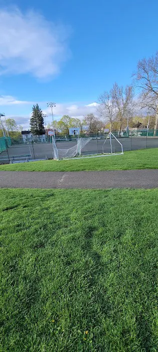 Nelson Park Picture 5