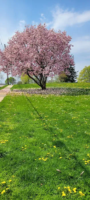 Nelson Park Picture 3