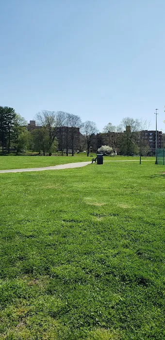 Nelson Park Picture 1