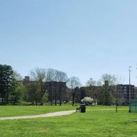 Nelson Park ico