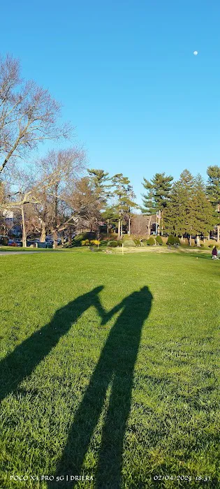 Nelson Park Picture 6