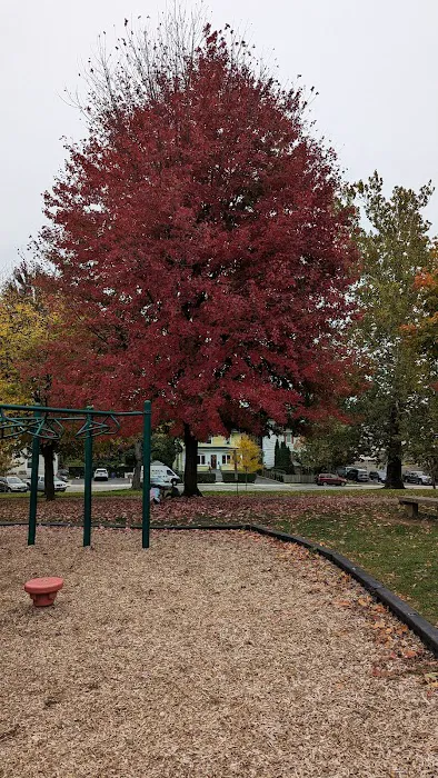 Nelson Sitting Park Picture 7