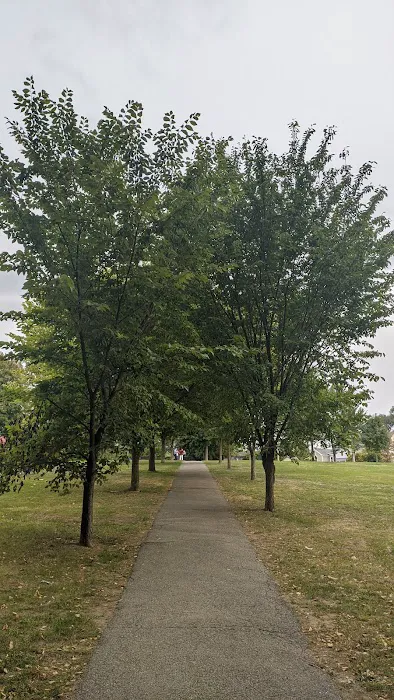Nelson Sitting Park Picture 9