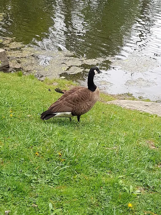 Richard G Wishnie Park Picture 3