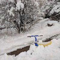 Arthur J. Jones Park ico