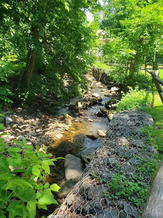 Dale Avenue Park Picture 7