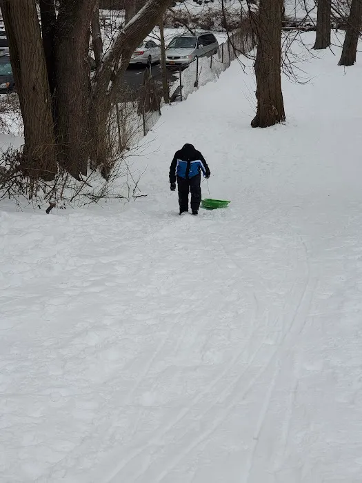 Dale Avenue Park Picture 4