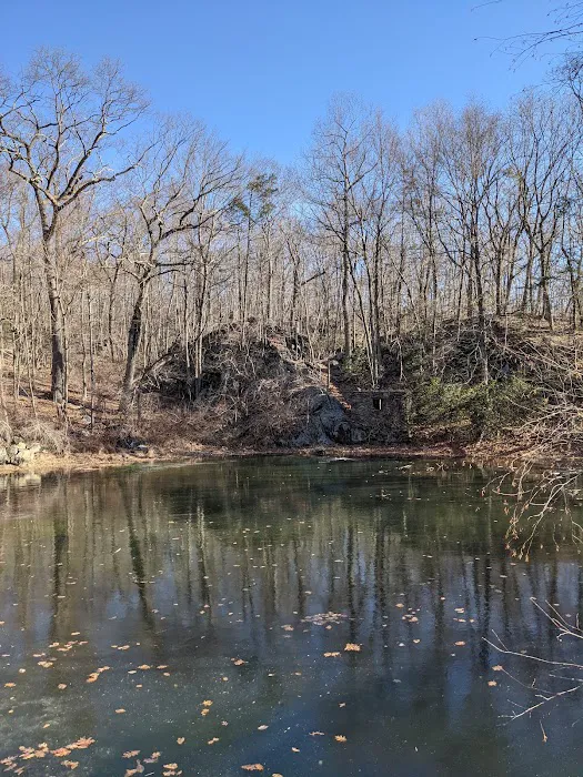 Sunny Ridge Preserve Picture 2