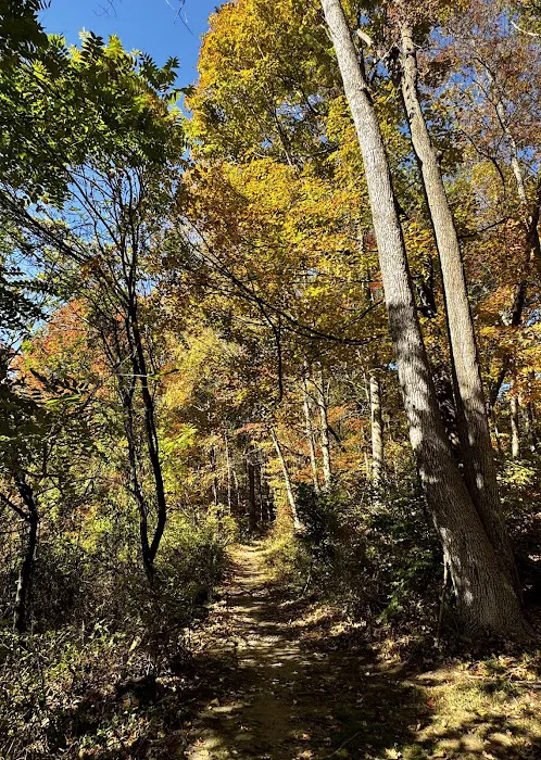 Sunny Ridge Preserve Picture 1