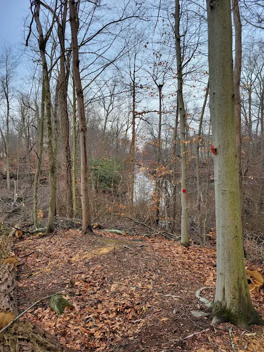 Sunny Ridge Preserve Picture 3
