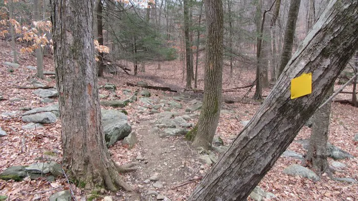 Glazier Preserve Picture 4