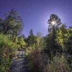 Glazier Preserve