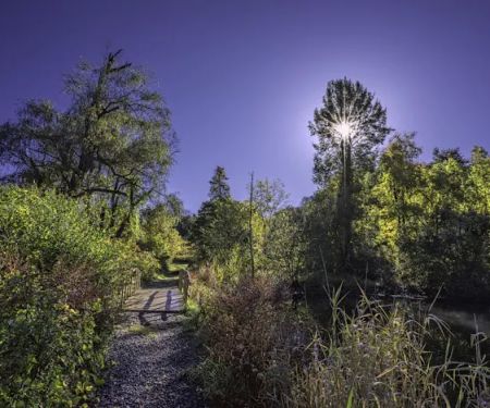 Glazier Preserve